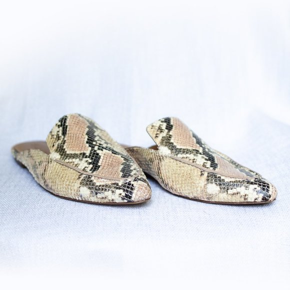 frances skimmer mule